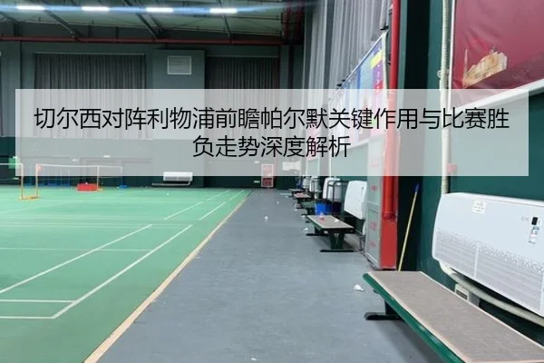 切尔西对阵利物浦前瞻帕尔默关键作用与比赛胜负走势深度解析