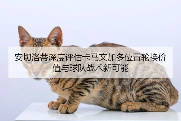 安切洛蒂深度评估卡马文加多位置轮换价值与球队战术新可能