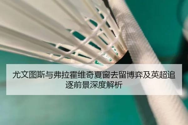 尤文图斯与弗拉霍维奇夏窗去留博弈及英超追逐前景深度解析