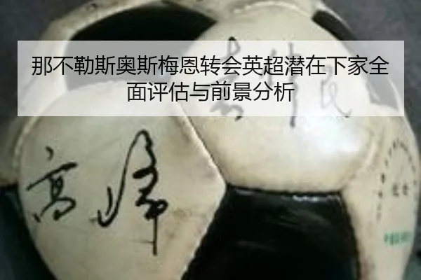 那不勒斯奥斯梅恩转会英超潜在下家全面评估与前景分析